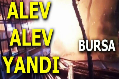 Bursa Yıldırım'da manav alev alev yandı