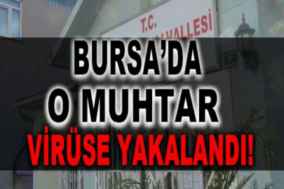 Muhtar korona virüse yakalandı, 10 gün boyunca muhtarlık kapalı kalacak