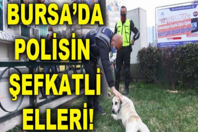 Polisin şefkatli elleri