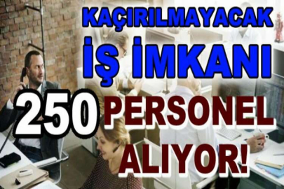 Aile, Çalışma ve Sosyal Hizmetler Bakanlığı 250 Personel alıyor