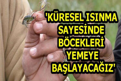 'Küresel ısınma sayesinde böcekleri yemeye başlayacağız'