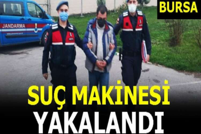 Suç makinesi sonunda yakalandı!