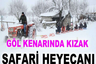 Bu da kızak safari