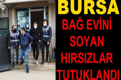 Bağ evini soyan hırsızlar tutuklandı