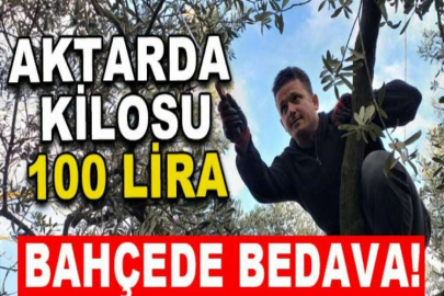 Aktarda kilosu 100 lira, bahçede bedava