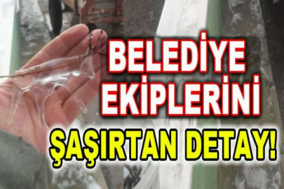 Belediye ekiplerini şaşırtan detay