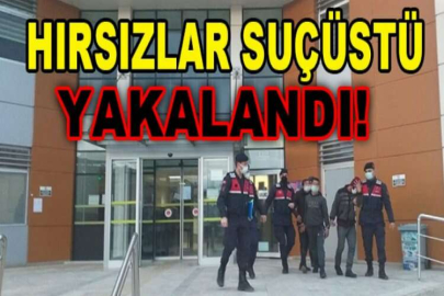 Hırsızlar suçüstü yakalandı