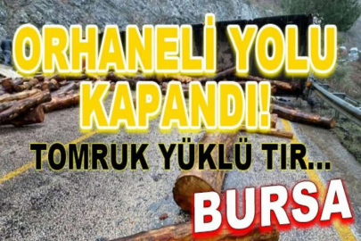 Tomruk yüklü tır devrildi, ilçe yolu ulaşıma kapandı