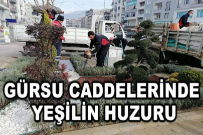 Gürsu caddelerinde yeşilin huzuru