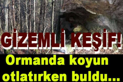 Koyun otlatan çobandan gizemli keşif