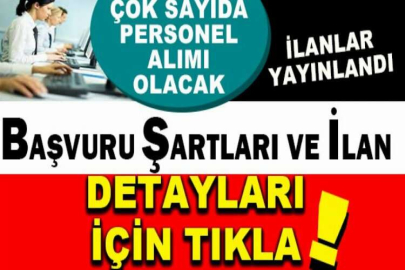 Bahçeşehir Üniversitesi 45 öğretim üyesi alacak