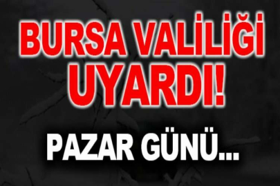 Bursa Valiliği'nden don uyarısı!