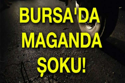 Bursa'da maganda şoku!