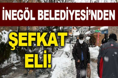 İnegöl Belediyesinden sokak hayvanlarına şefkat eli