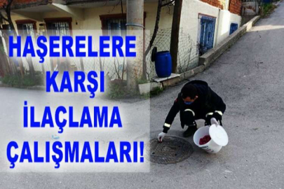 Haşerelere karşı ilâçlama