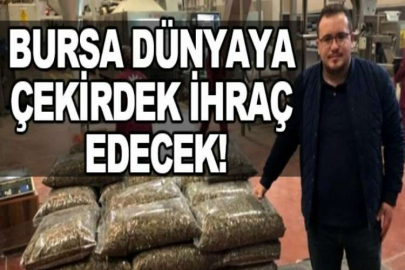 Bursa dünyaya çekirdek ihraç edecek