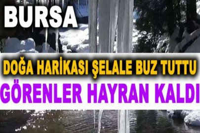 Doğa harikası şelale buz tuttu, görenler hayran kaldı