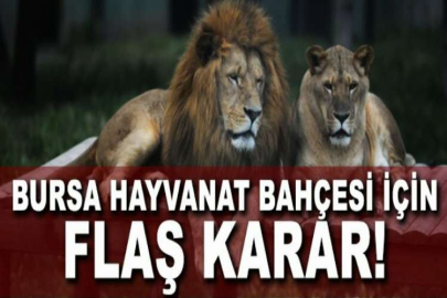 Hayvanat Bahçesi geçici olarak ziyarete kapandı