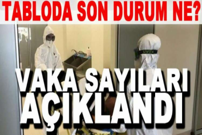 Son Dakika: 26 Şubat koronavirüs tablosu açıklandı