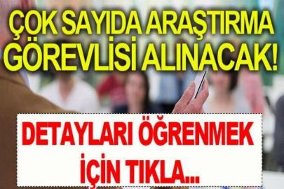 İstanbul 29 Mayıs Üniversitesi Araştırma Görevlisi alım ilanı