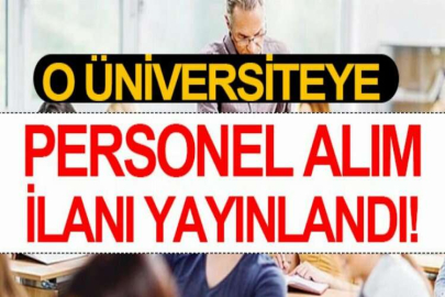 İstinye Üniversitesi 38 Akademik Personel alıyor