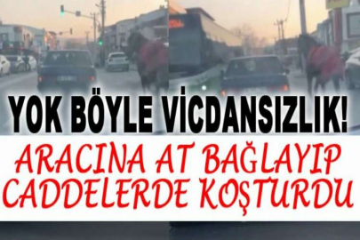 Aracına at bağlayıp caddelerde koşturdu