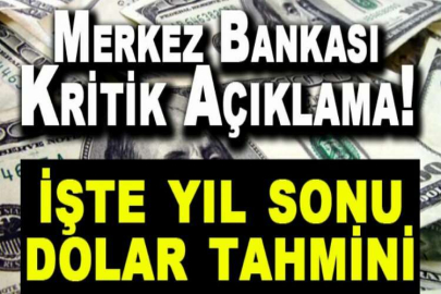 Merkez Bankası yıl sonu büyüme tahmini arttı! İşte Merkez Bankası'nın yıl sonu dolar tahmini!