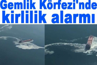 Gemlik Körfezi'nde kirlilik alarmı