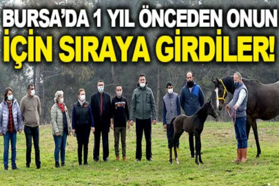 Üniversitede doğan tay için bir yıl önceden sıraya girdiler