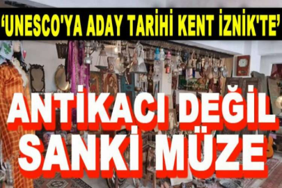 Antikacı değil sanki müze