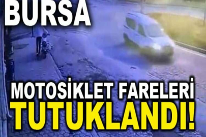 Motosiklet fareleri tutuklandı