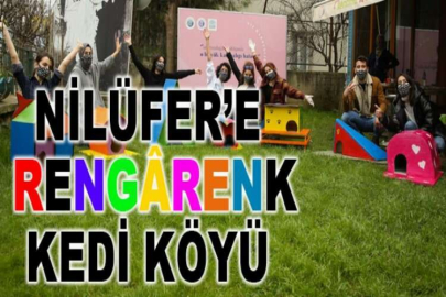 Nilüfer’e rengârenk Kedi Köyü