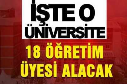 Siirt Üniversitesi 18 öğretim üyesi alacak