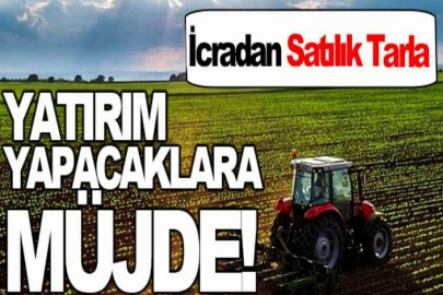 Bergama Sağancı Mahallesi'nde 20.659 m² tarla icradan satılıktır (çoklu satış)