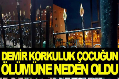 Demir korkuluk çocuğun ölümüne neden oldu