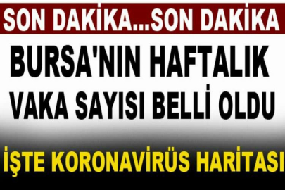 Son Dakika: İllere göre haftalık vaka sayısı açıklandı