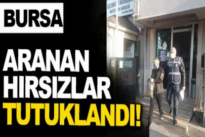 Aranan hırsızlar tutuklandı