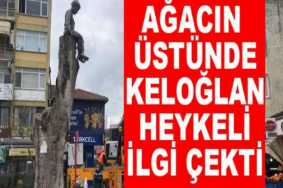 Ağacın üstünde Keloğlan heykeli ilgi çekti