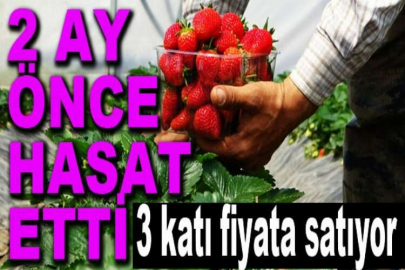 2 ay önce hasat etti 3 katı fiyata satıyor