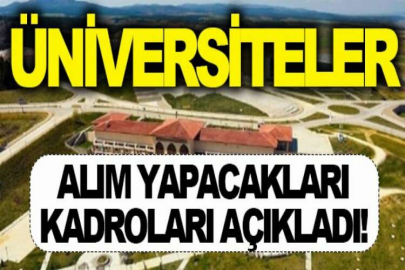 KTO Karatay Üniversitesi 1 Öğretim Üyesi alıyor