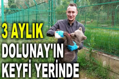 3 aylık Dolunay'ın keyfi yerinde