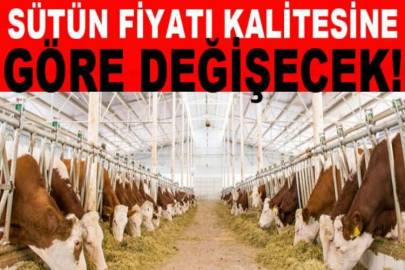 Sütün fiyatı kalitesine göre değişecek