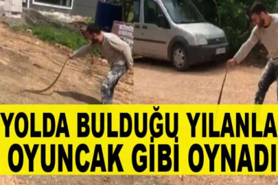 Yolda bulduğu yılanla oyuncak gibi oynadı