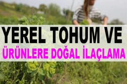 Yerel tohum ve ürünlere doğal ilaçlama