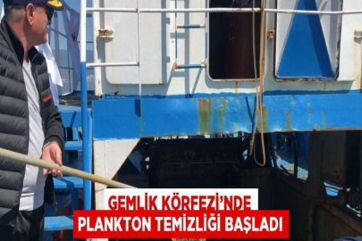 GEMLİK KÖRFEZİ’NDE PLANKTON TEMİZLİĞİ BAŞLADI