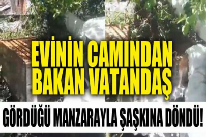 Evinin penceresinden bakınca gördüğü manzarayla şaşkına döndü