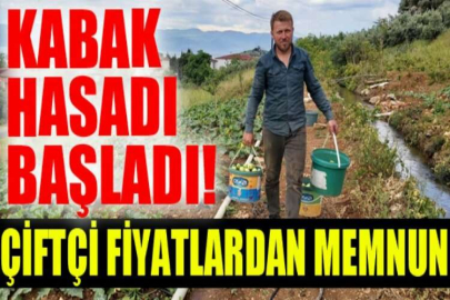 Kabak hasadı başladı, çiftçi fiyatlardan memnun