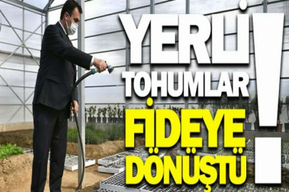 Dündar: “Fidelerin bir kısmını vatandaşa dağıtılacak”