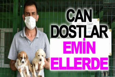 Yıldırım’da can dostları emin ellerde