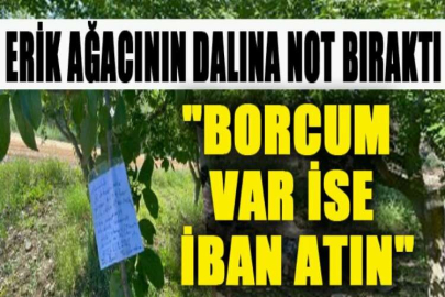 Erik ağacının dalına not bıraktı, 